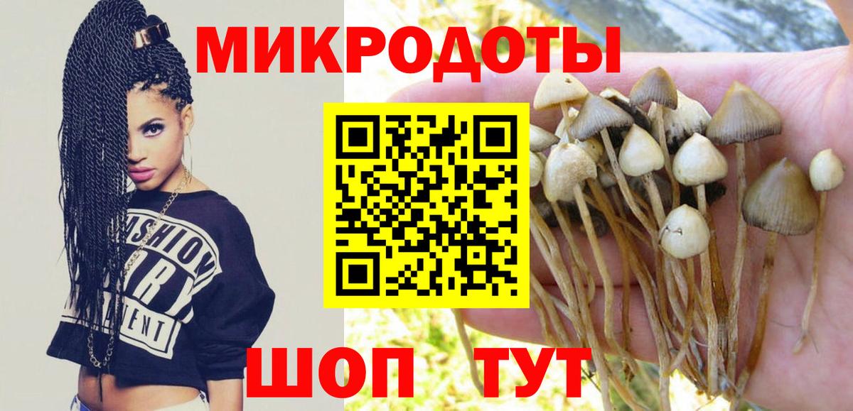 Псилоцибиновые грибы ЛСД Егорьевск